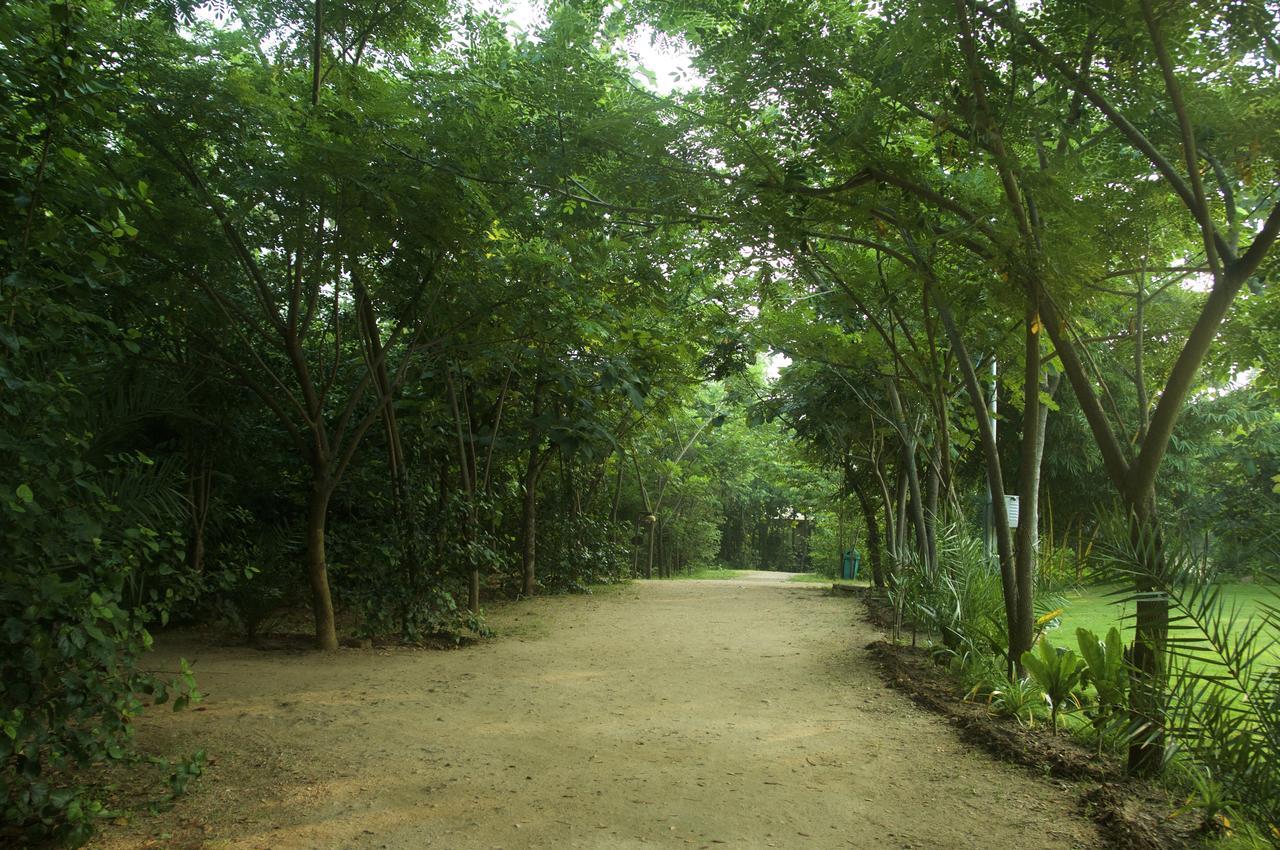 The Riverwood Forest Retreat Pench Khawāsa Buitenkant foto
