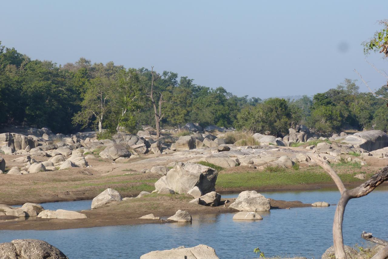 The Riverwood Forest Retreat Pench Khawāsa Buitenkant foto