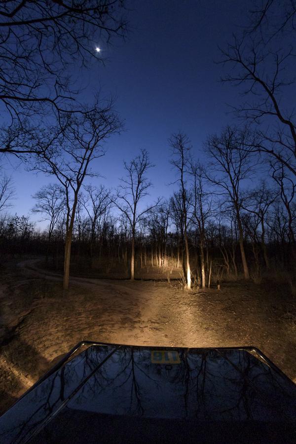 The Riverwood Forest Retreat Pench Khawāsa Buitenkant foto